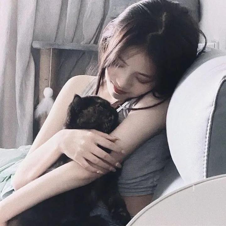 虹猫蓝兔七侠传